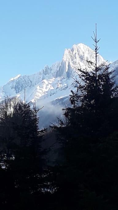 Chalet Les Charmilles - Vallee De Chamonix - 5 Chambres Les Houches Zewnętrze zdjęcie